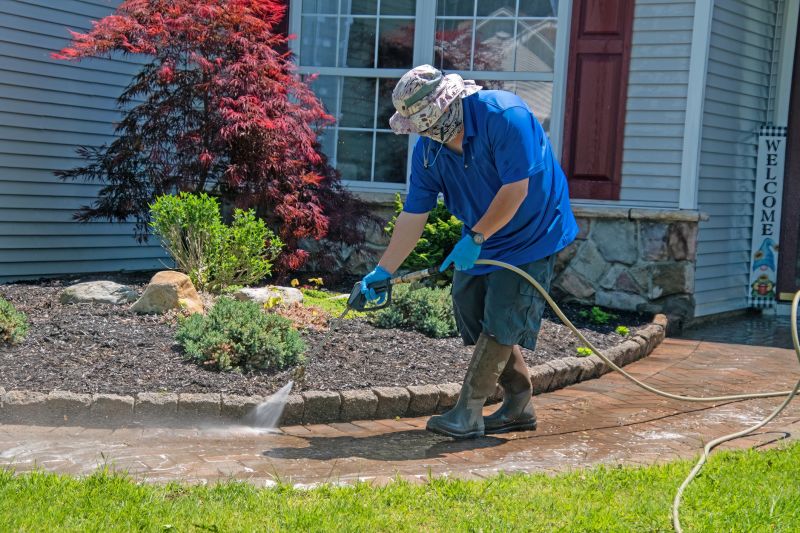 Walkway Cleaning