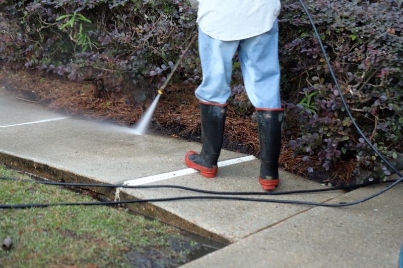 Walkway Cleaning