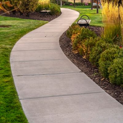 Remove Moss, Algae, Mold, and mildew!